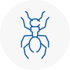 Ant Removals In Spennymoor