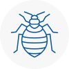 Bed Bug Extermination In Spennymoor