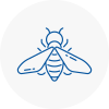 Bee Nest Removal Spennymoor