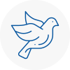 Bird Prevention Spennymoor