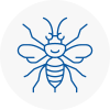 Spennymoor Hornet Nest Removals