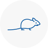 Mice Exterminators In Spennymoor