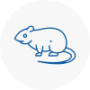 Rat Control Spennymoor