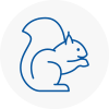Spennymoor Rodent Removals